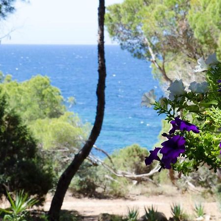 Villa Buonumore Porto Pino Eksteriør bilde
