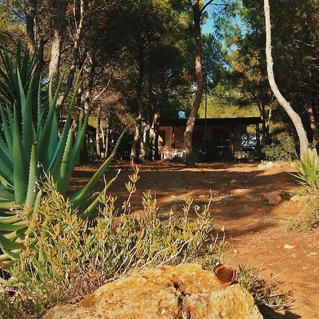 Villa Buonumore Porto Pino Eksteriør bilde