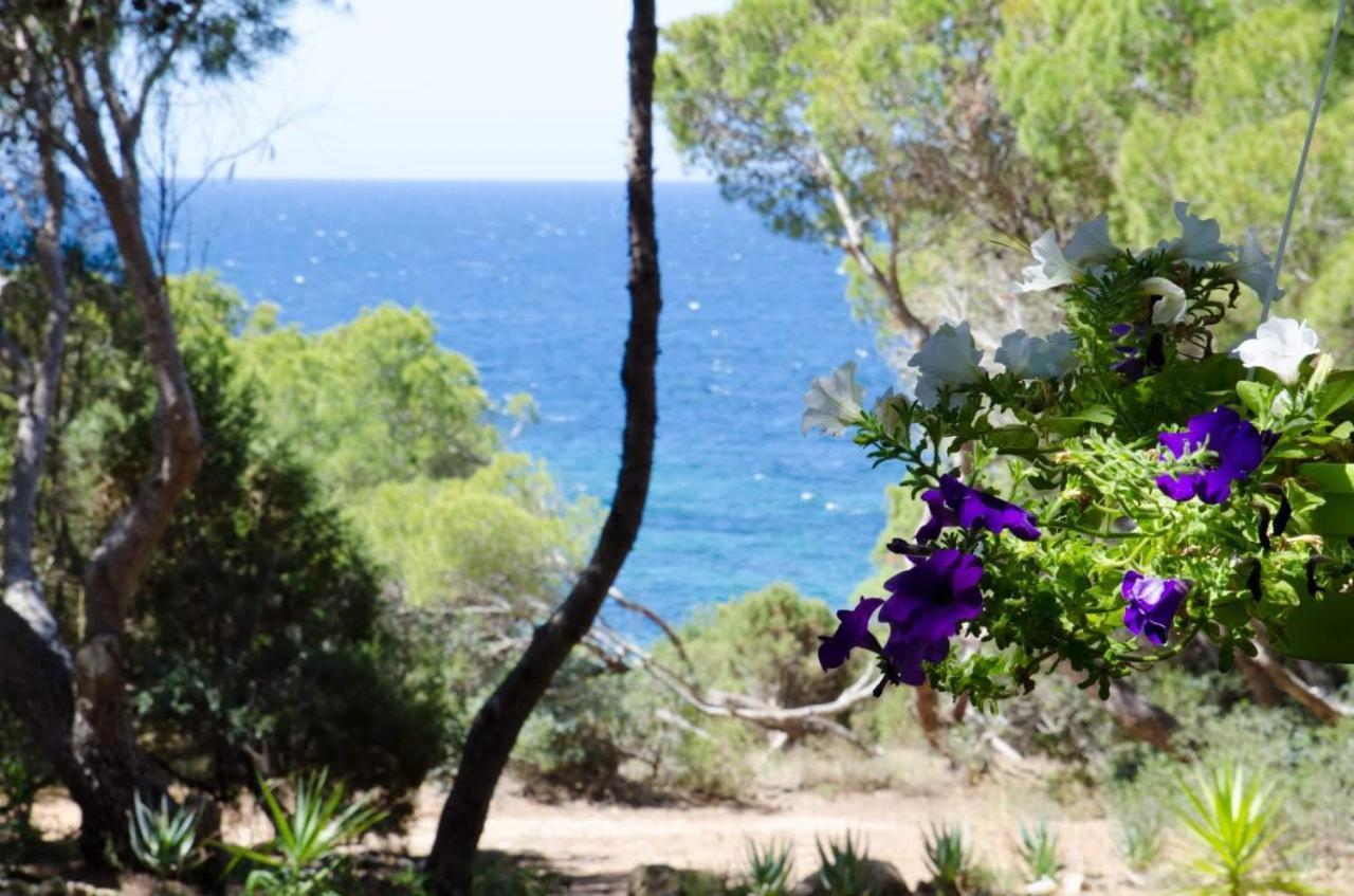 Villa Buonumore Porto Pino Eksteriør bilde