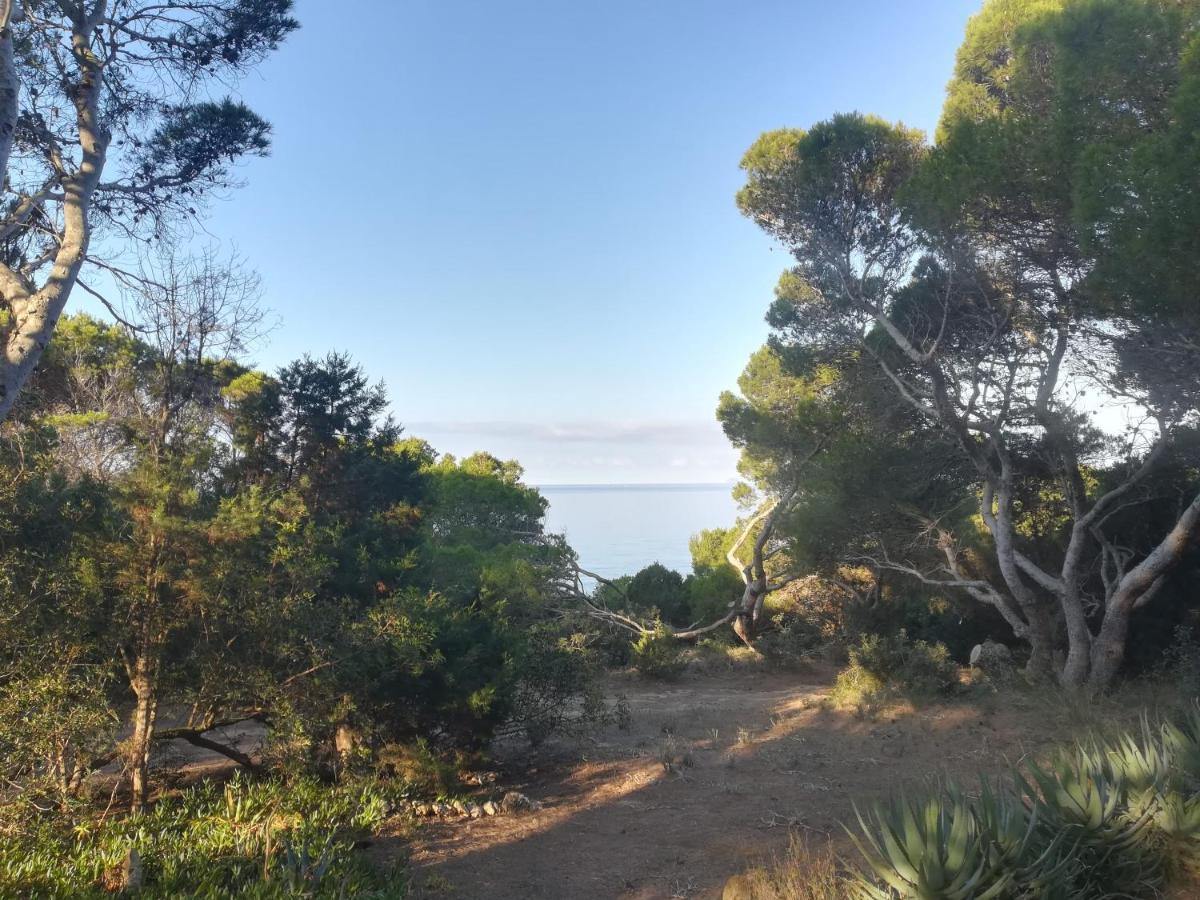Villa Buonumore Porto Pino Eksteriør bilde