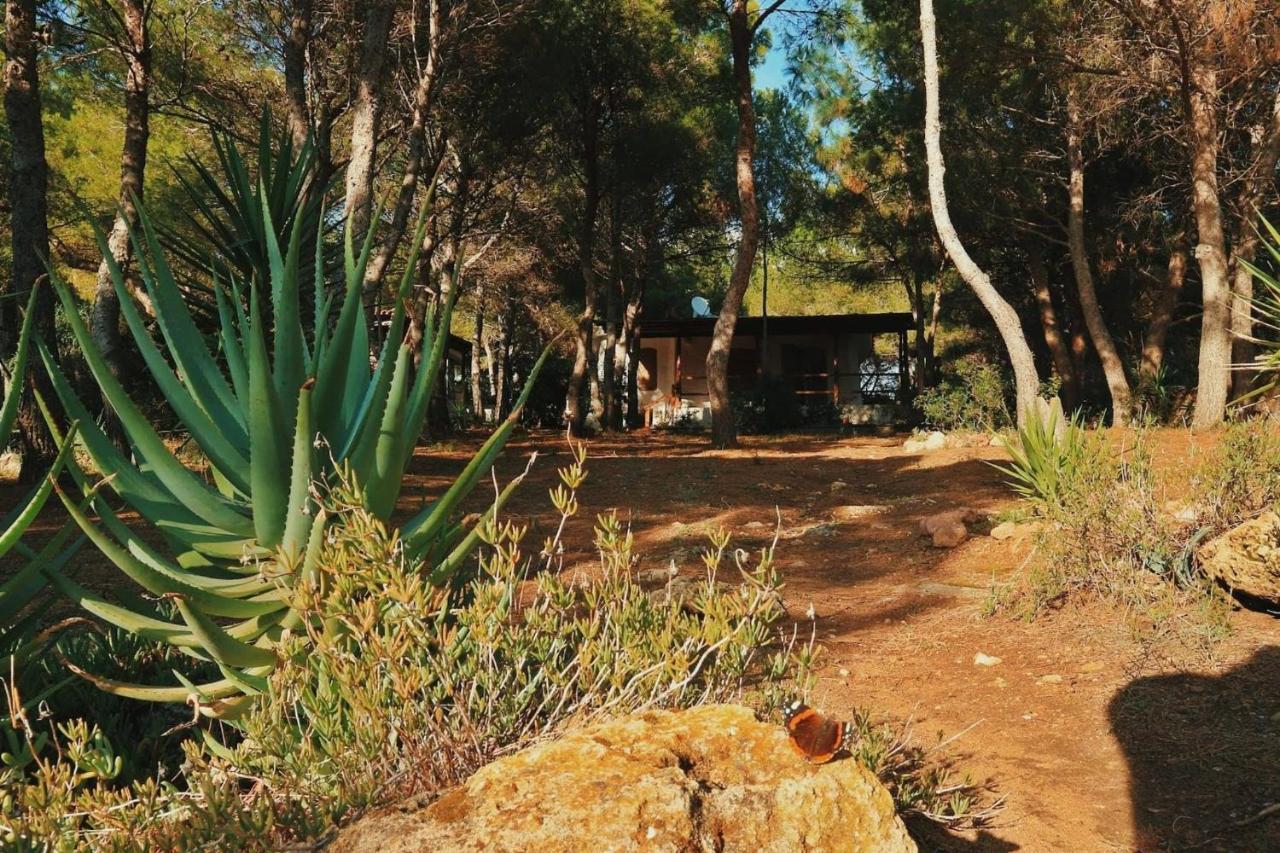Villa Buonumore Porto Pino Eksteriør bilde